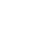 Meteoric logo